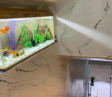 Apartado Hotel | Hotel EGIPTO