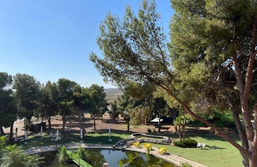 Zaragoza Hotel | Hotel El Cisne