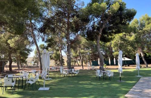 Zaragoza Hotel | Hotel El Cisne