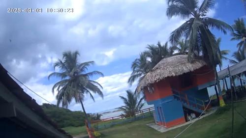 Arboletes Hotel | Hotel EL PALMAR TOURS