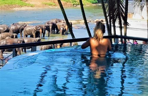 Pinnawala Hotel | Hotel Elephant Park - NEW DEAL! Exclusive Offers on Pickups Available!