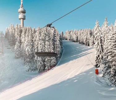 Pamporovo Hotel | Hotel Elitza