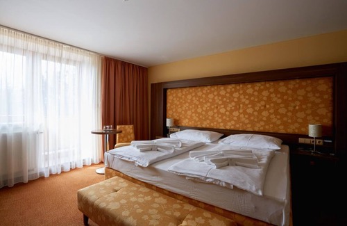 Roznov Pod Radhostem Hotel | Hotel Energetic
