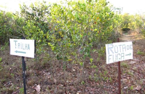 Carolina House | Hotel Fazenda Arara Azul