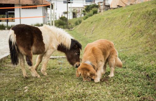 Joinville House | Hotel Fazenda Dona Francisca