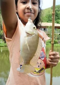 Teresopolis Hotel | Hotel Fazenda Jecava