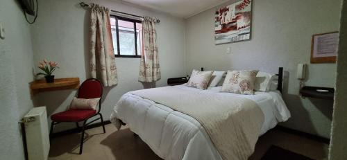 Concepcion Hotel | Hotel Fish Angol