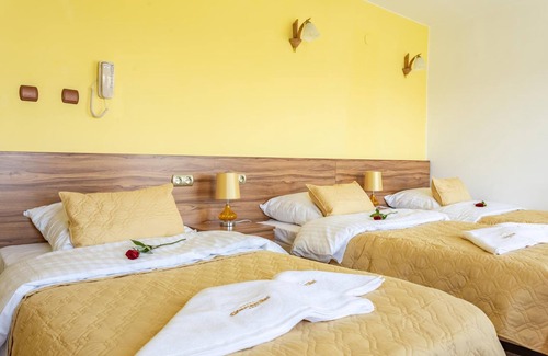 Nowy Targ Hotel | Hotel Góralski Raj