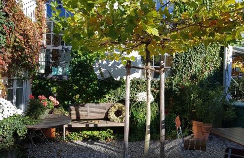 Krumbach Hotel | Hotel Gasthof Traubenbräu