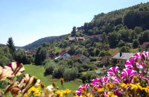 Oberzent Hotel | Hotel Grüner Baum mit Restaurant & Wellness