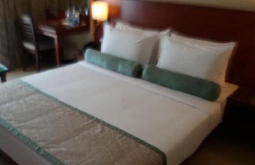 Daulatabad Hotel | Hotel Green Olive