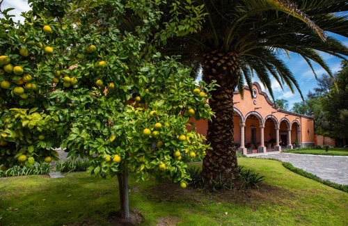 San Miguel de Allende Hotel | Hotel Hacienda La Cieneguita