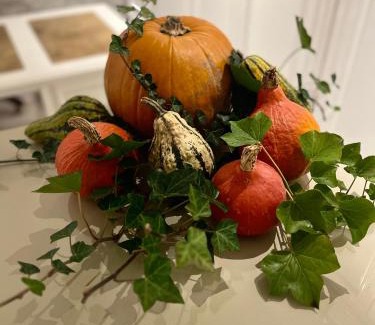 Rhein-Erft-Kreis District Hotel | Hotel Haus Loewe