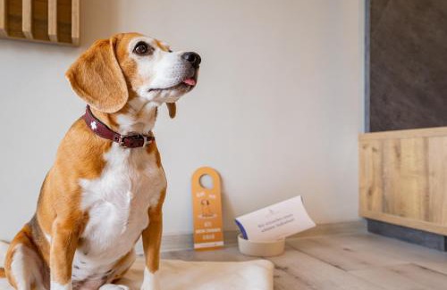 Cochem Hotel | Hotel Hegenbarths