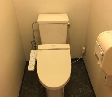 Hirayu Hotel | Hotel Hirayunomori Annex