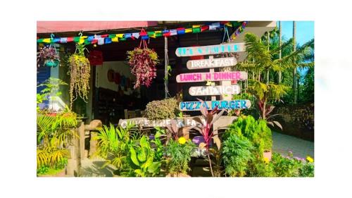 Sauraha House | Hotel Holidays Inn - Bagpacker's Home