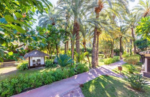 Elche Hotel | Hotel Huerto del Cura