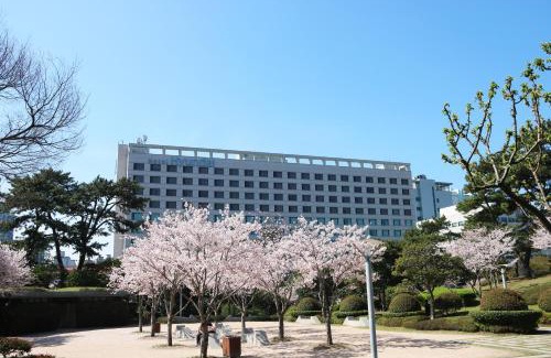 Dong-gu Hotel | Hotel Hyundai by Lahan Ulsan