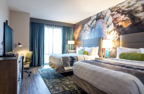 Tuscaloosa Hotel | Hotel Indigo Tuscaloosa Downtown by IHG