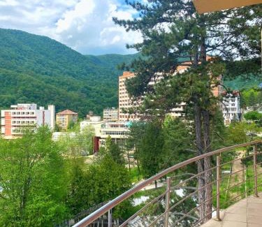 Baile Herculane Hotel | Hotel International