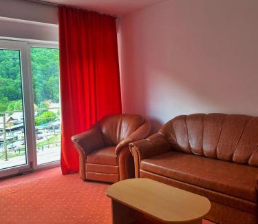 Baile Herculane Hotel | Hotel International