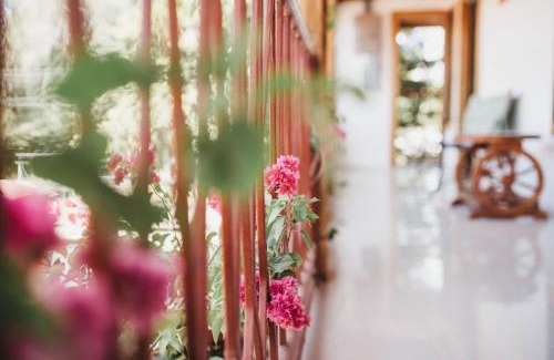 Liberia Hotel | Hotel Javy