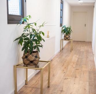 Lohmar Hotel | Hotel Kavala