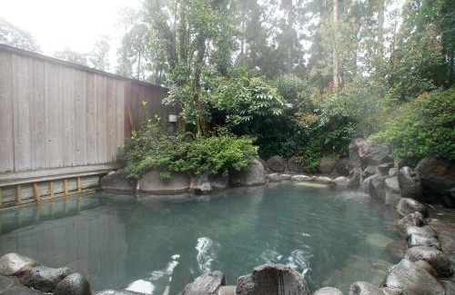 Kyomachi Onsen Hotel | Hotel Kirishima Castle
