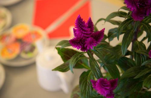 Aigues-Mortes Hotel | Hotel L'Escale