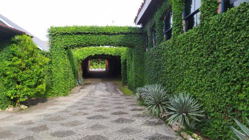 Kupang Hotel | Hotel La Hasienda