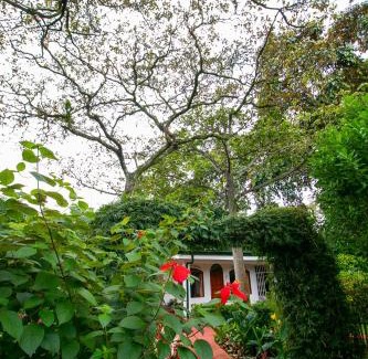 La Mandarina Hotel | Hotel La Rosa de America