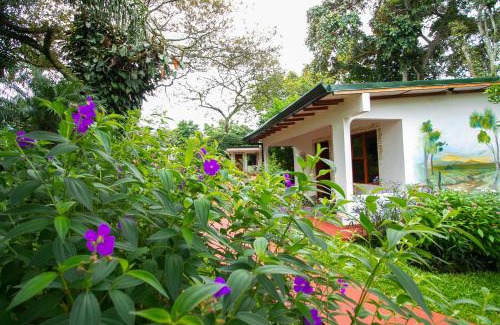 La Mandarina Hotel | Hotel La Rosa de America