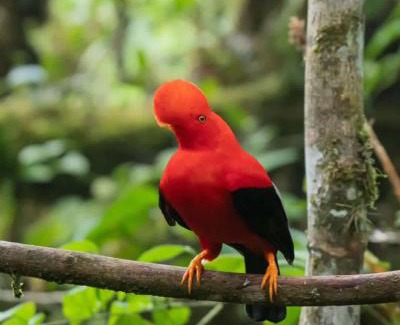 Jardin Hotel | Hotel La Sultana