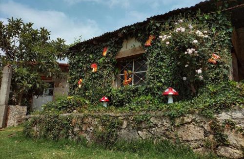Huasca De Ocampo Hotel | Hotel Las Palmas By GEstores