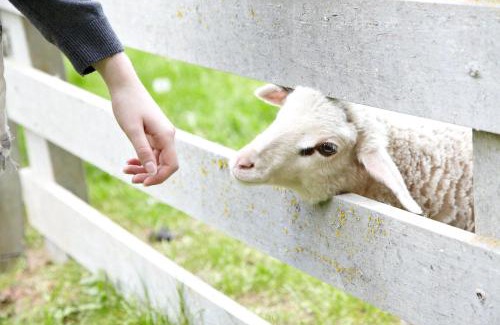 Laufeld Hotel | Hotel Laufelder Hof