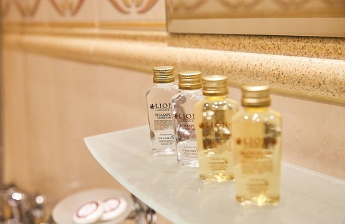 Sofia City Center Hotel | Hotel Lion Sofia