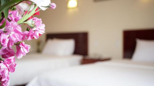 Miraflores Bajo Hotel | Hotel Lottus