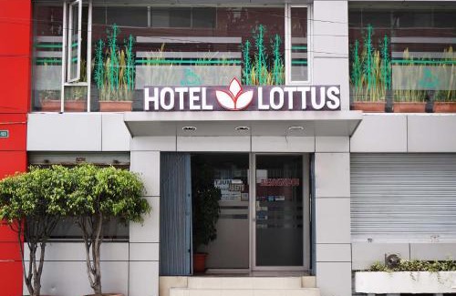 Miraflores Bajo Hotel | Hotel Lottus