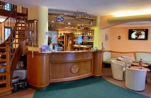 Litvinov Hotel | Hotel Loucky