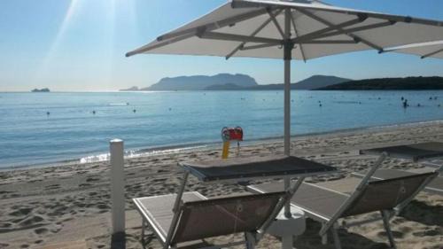 Olbia Hotel | Hotel Luna Lughente