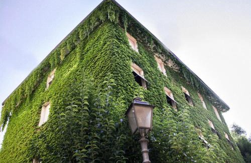 Fiuggi Hotel | Hotel MariaLetizia
