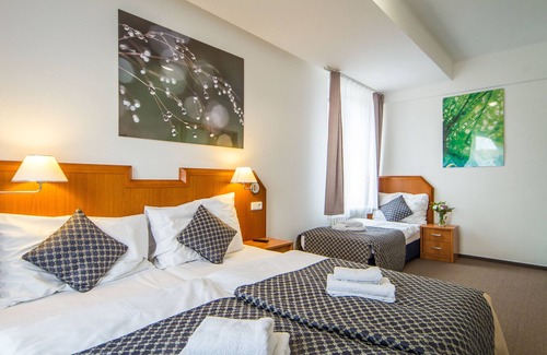 Kutna Hora Hotel | Hotel Medinek Old Town