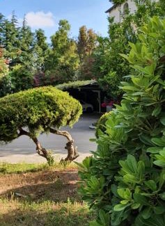 Qualiano Hotel | Hotel Mediterraneo