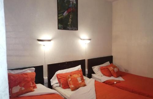 Zona Historico Hotel | Hotel Metropolitano