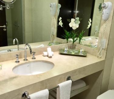 Buenos Aires Central Business District Hotel | Hotel Metropolitano Supara