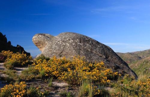 Castro Laboreiro Hotel | Hotel Miracastro