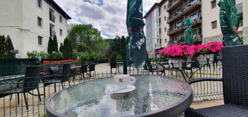 Sarata-Monteoru Hotel | Hotel Monteoru