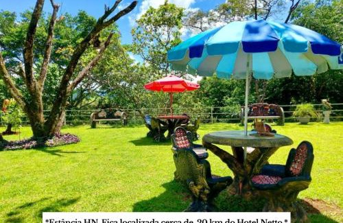 Cachoeiras de Macacu Hotel | Hotel Netto