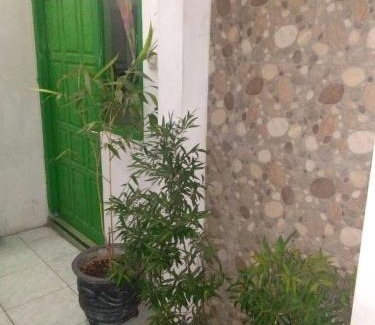 Tulungagung Hotel | Hotel O Wisma Kost & Penginapan Afilia Buana Syariah