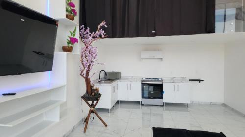Atotonilco el Alto Hotel | HOTEL OASIS inn